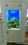 Small-aquarium-in-wall.jpg