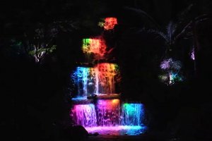 Pukekura Falls - TSB Festival of Lights