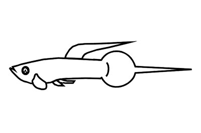 Needle - Pin Tail