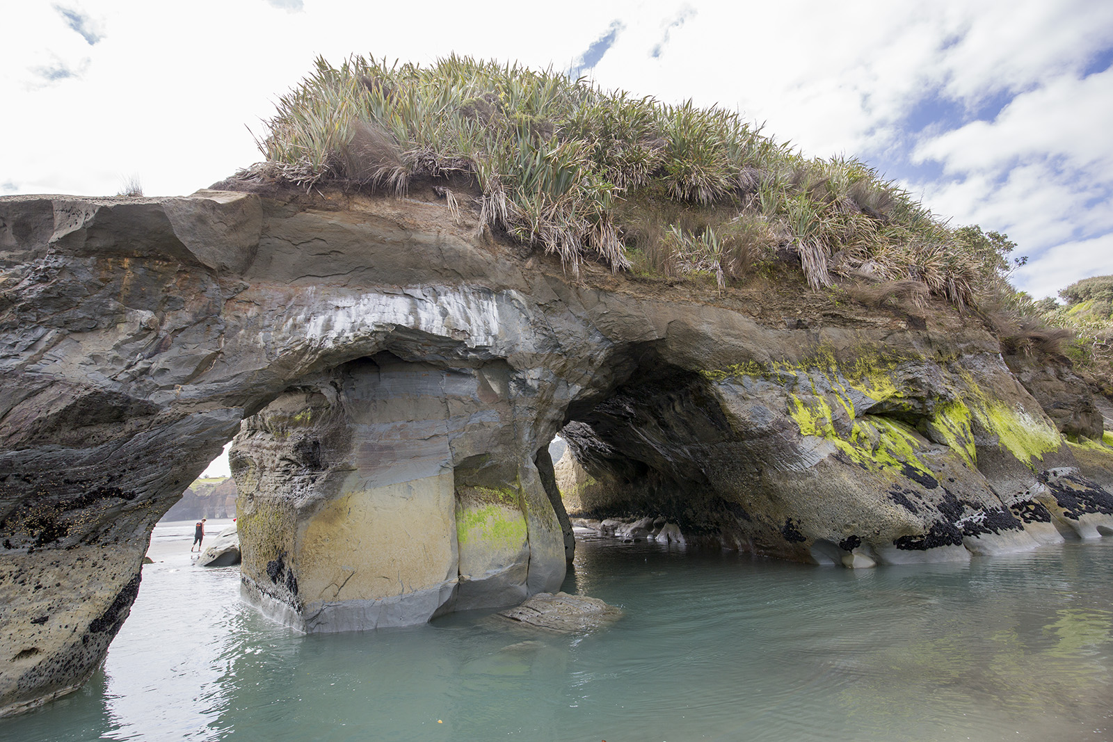 Three Sisters and the Elephant Rock - Tongaporutu