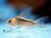 IMG_5791.jpg